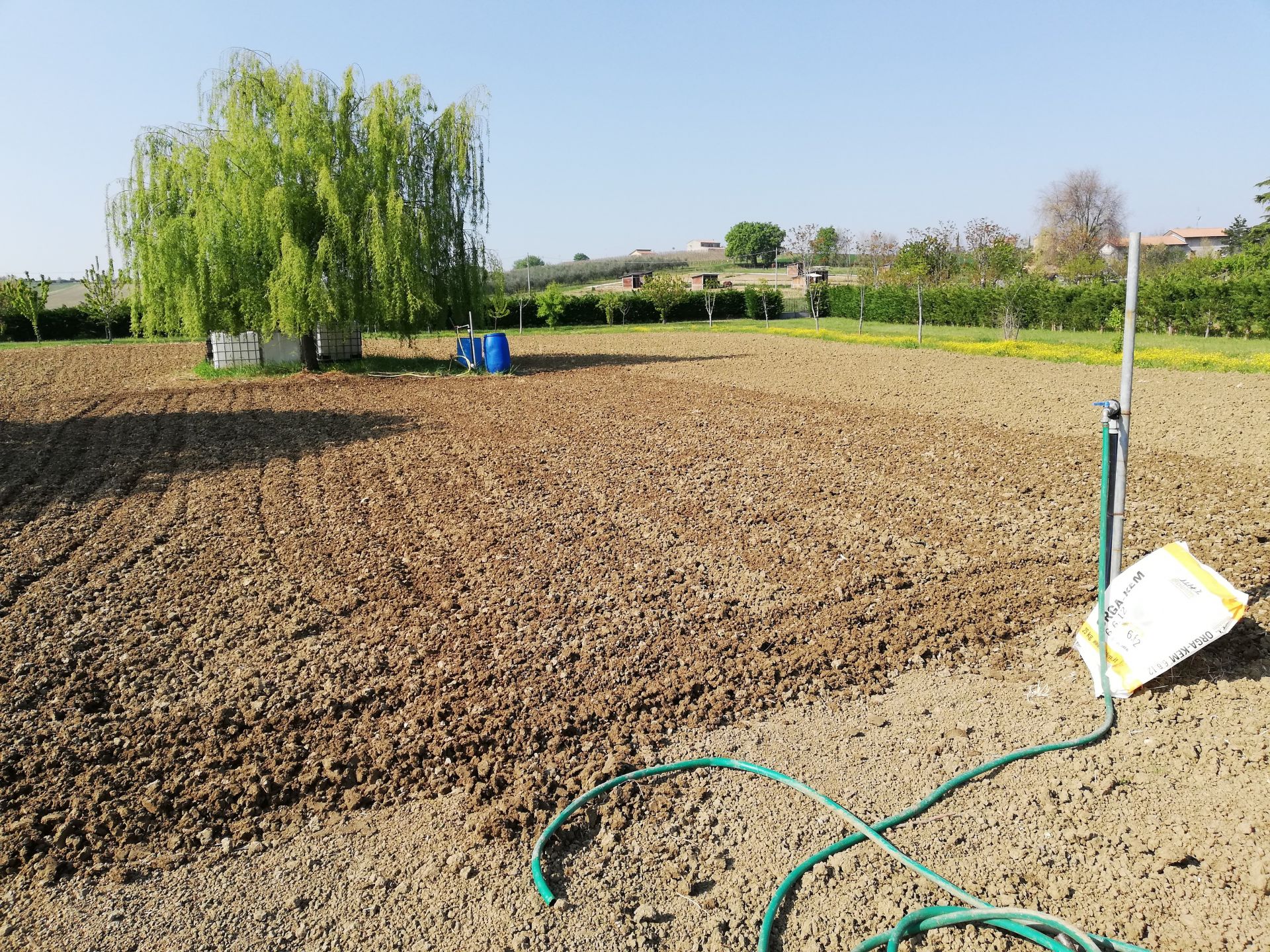 Terreno Agricolo Santarcangelo di Romagna 