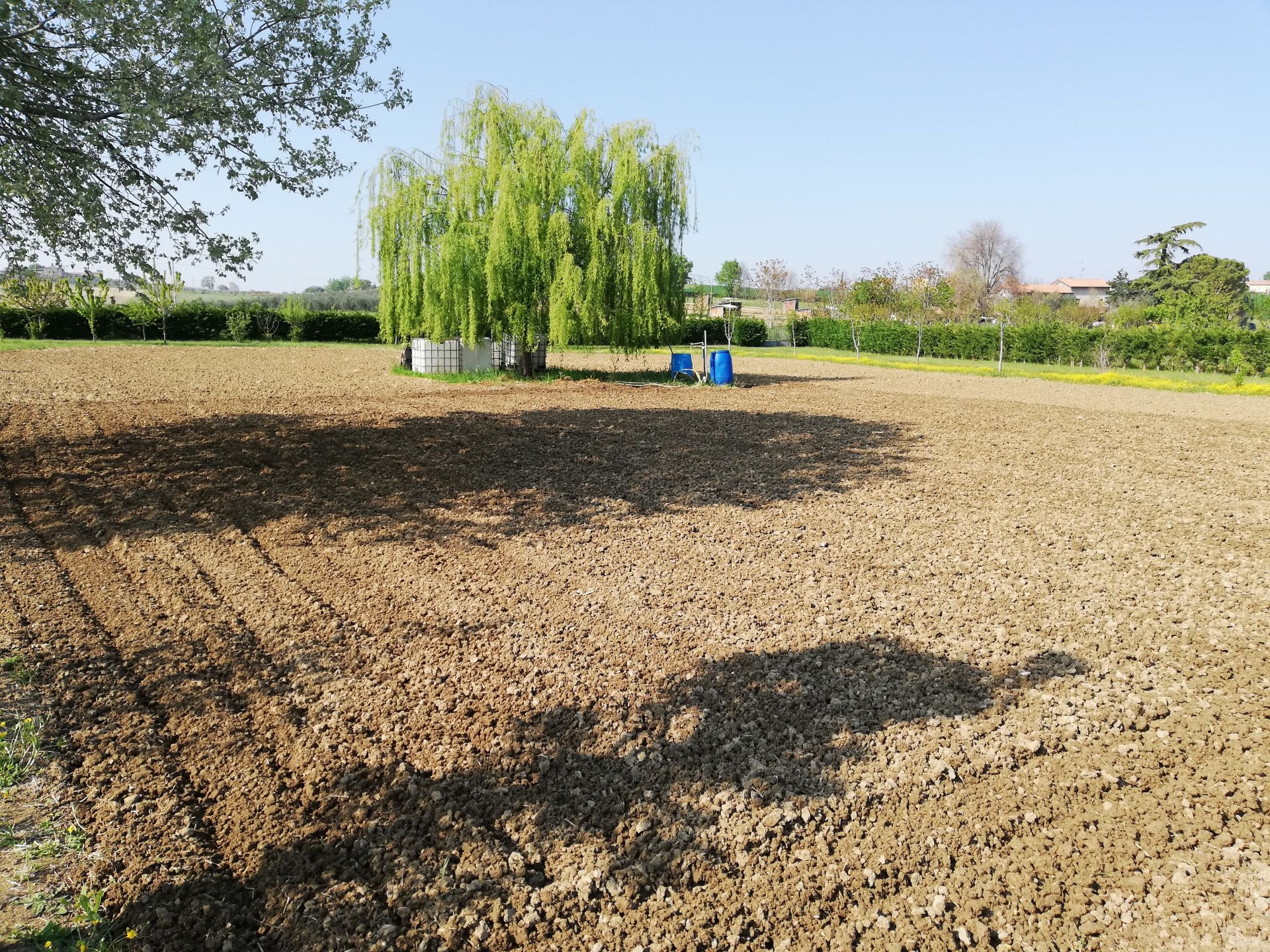 Vendita Terreno Agricolo Santarcangelo di Romagna