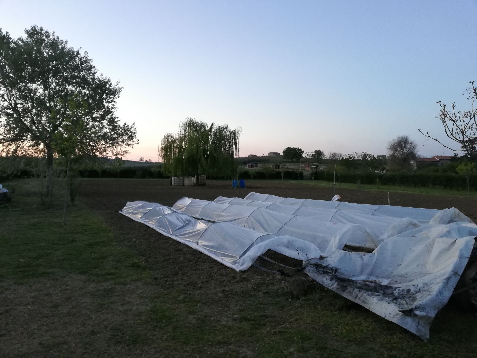 Terreno Agricolo Santarcangelo di Romagna 