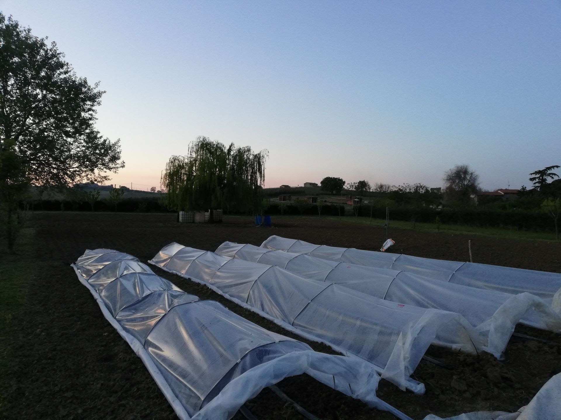 Vendita Terreno Agricolo Santarcangelo di Romagna