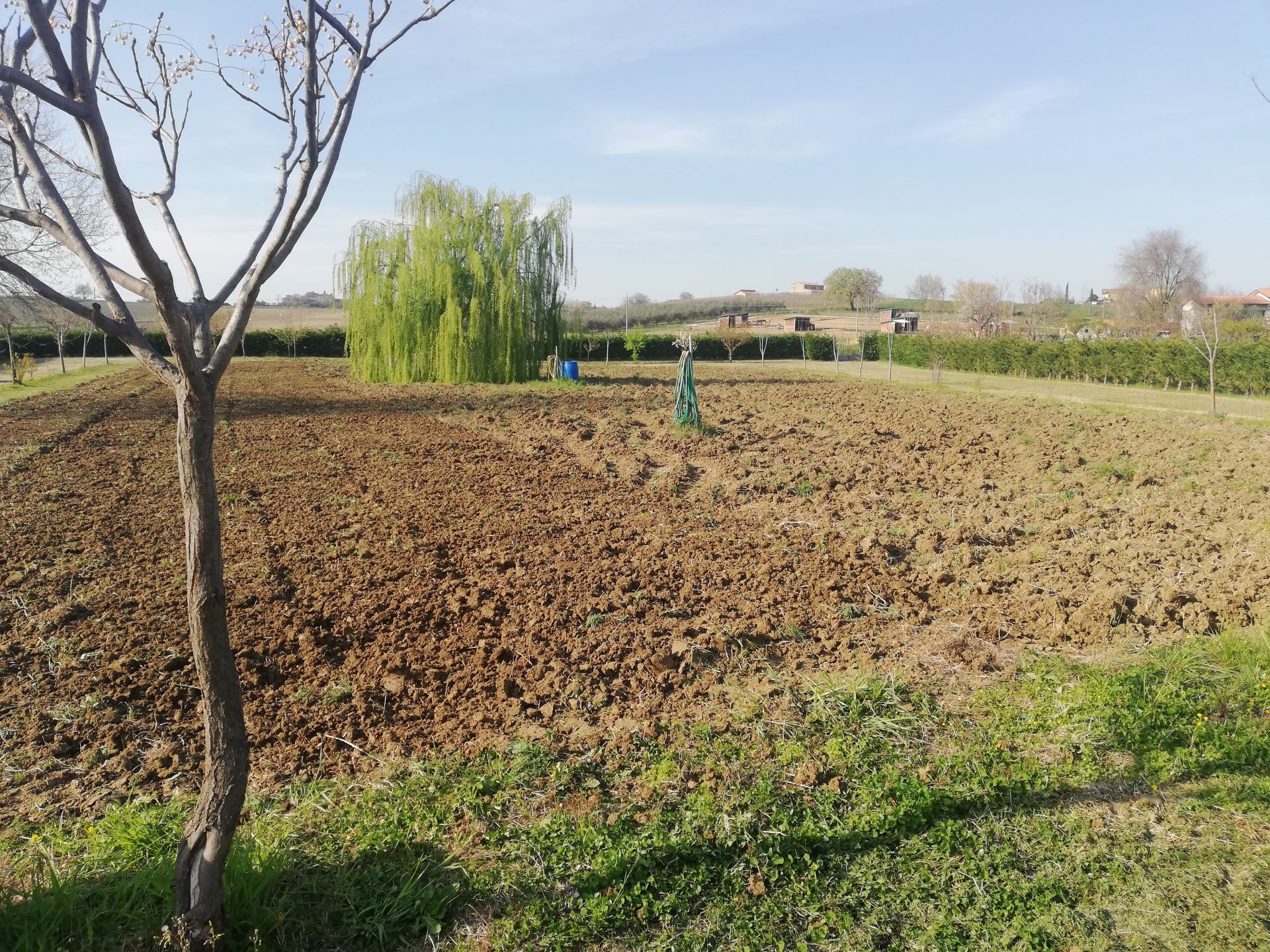Terreno Agricolo Santarcangelo di Romagna 