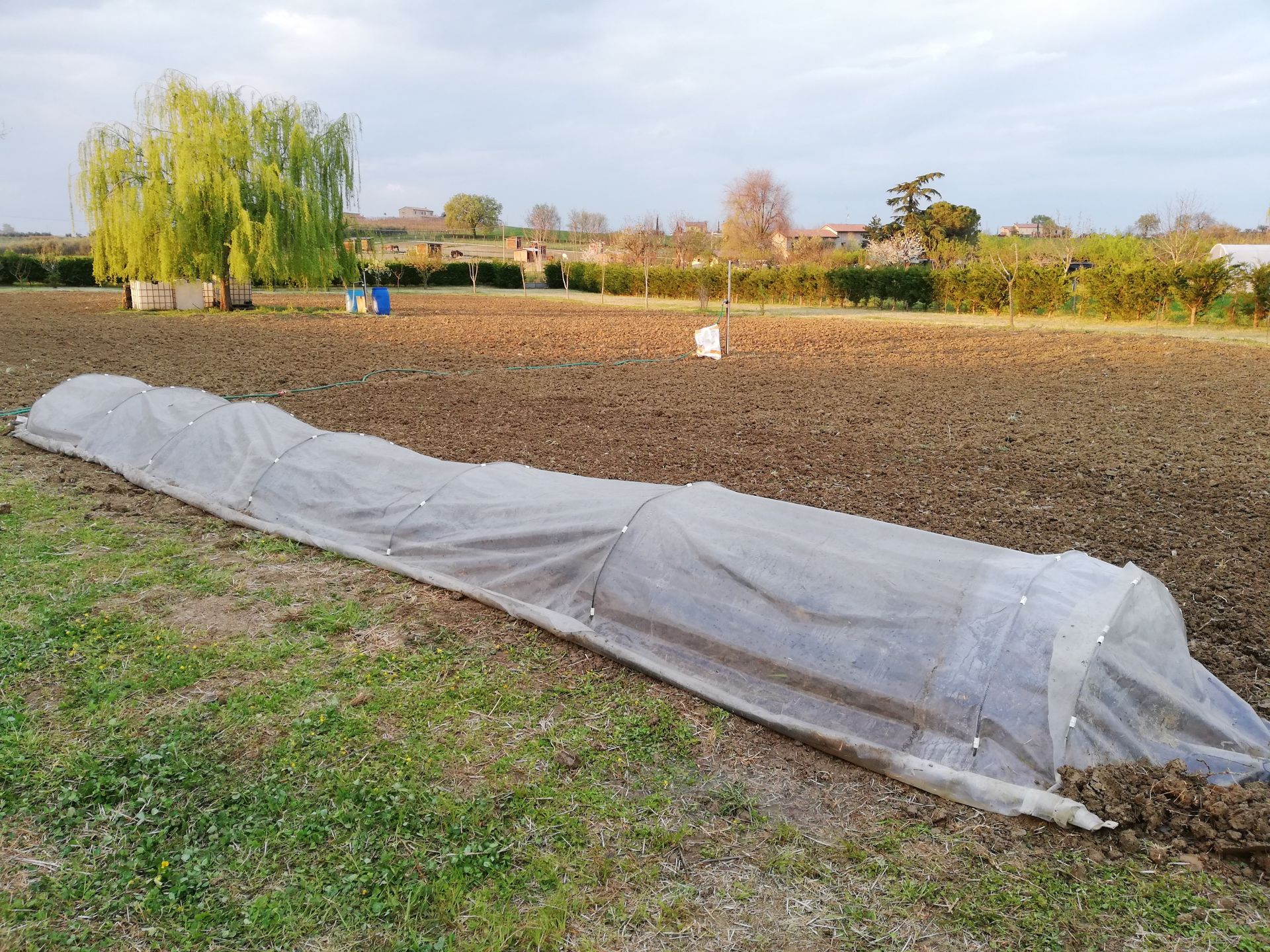 Vendita Terreno Agricolo Santarcangelo di Romagna