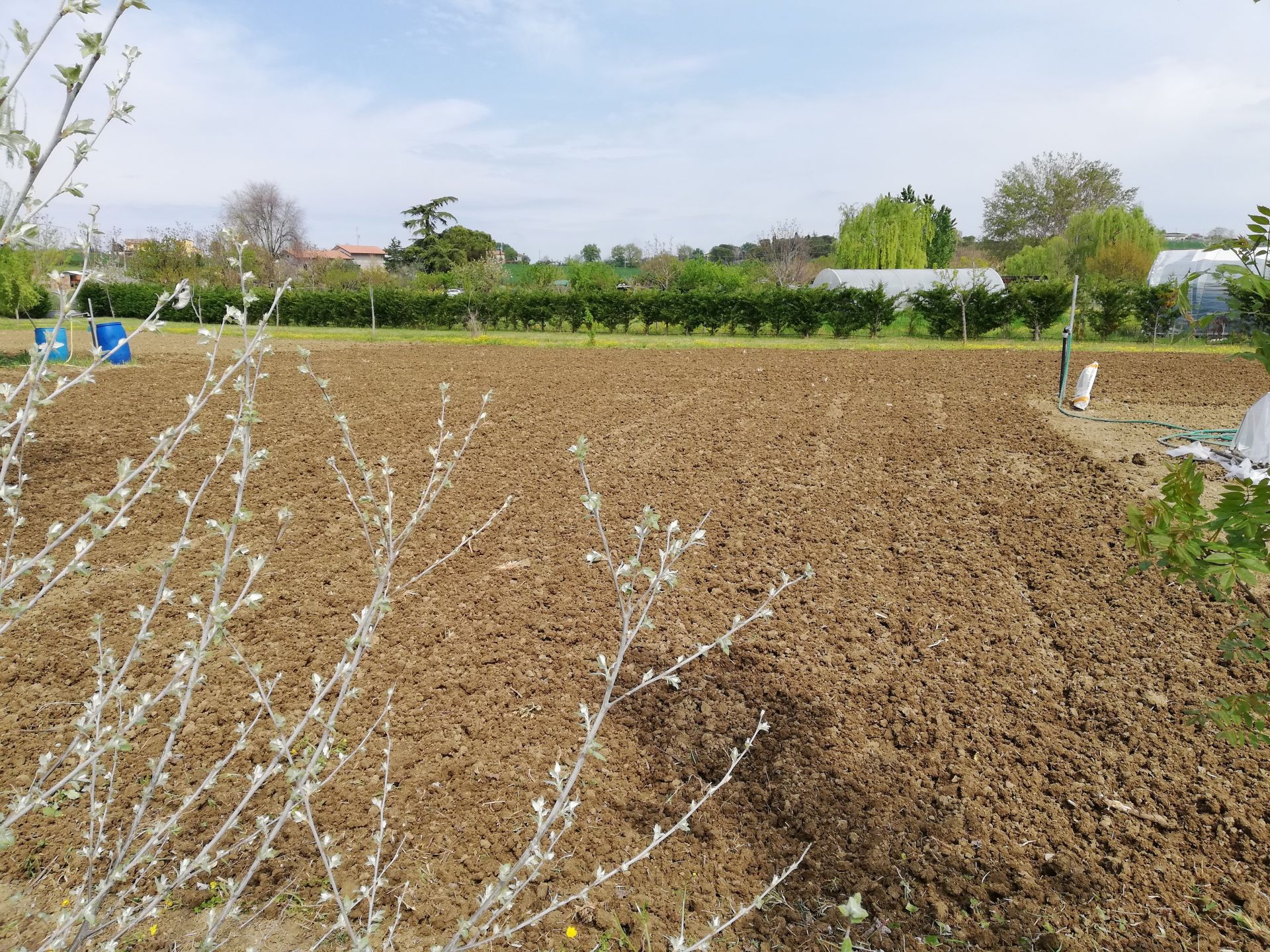 Vendita Terreno Agricolo Santarcangelo di Romagna