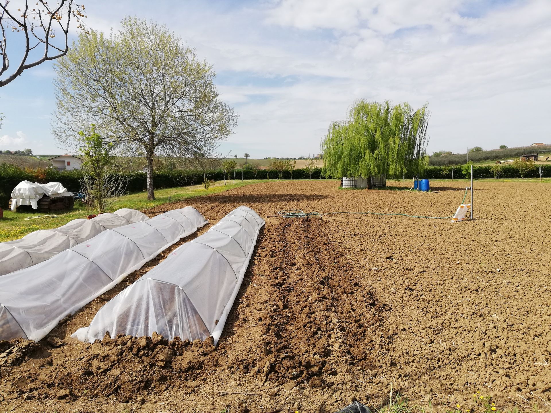 Vendita Terreno Agricolo Santarcangelo di Romagna