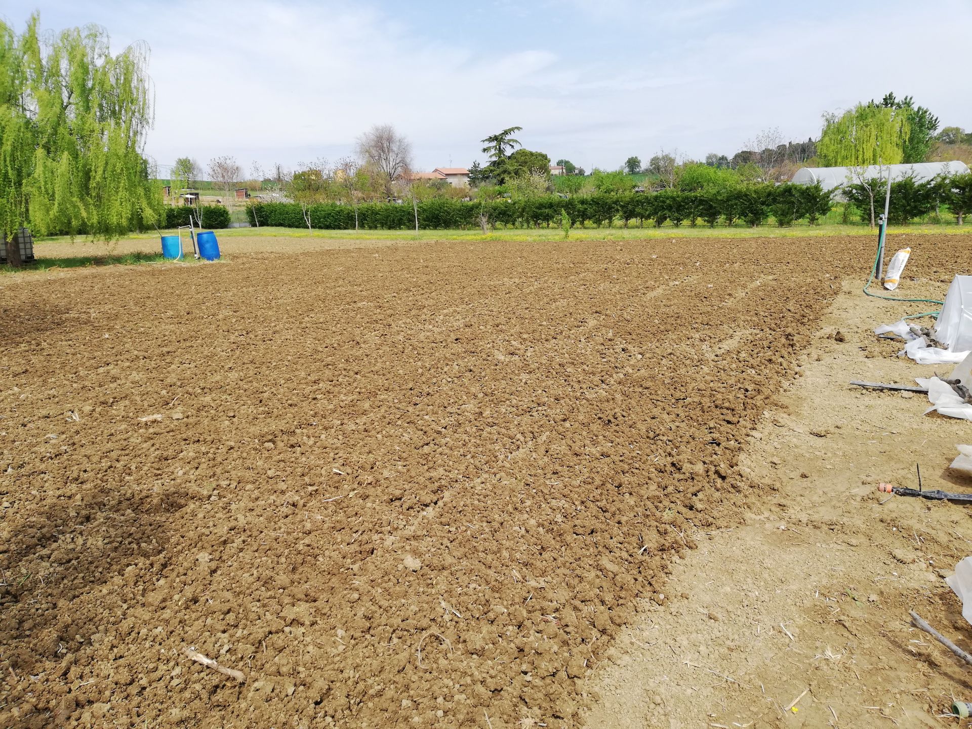 Vendita Terreno Agricolo Santarcangelo di Romagna