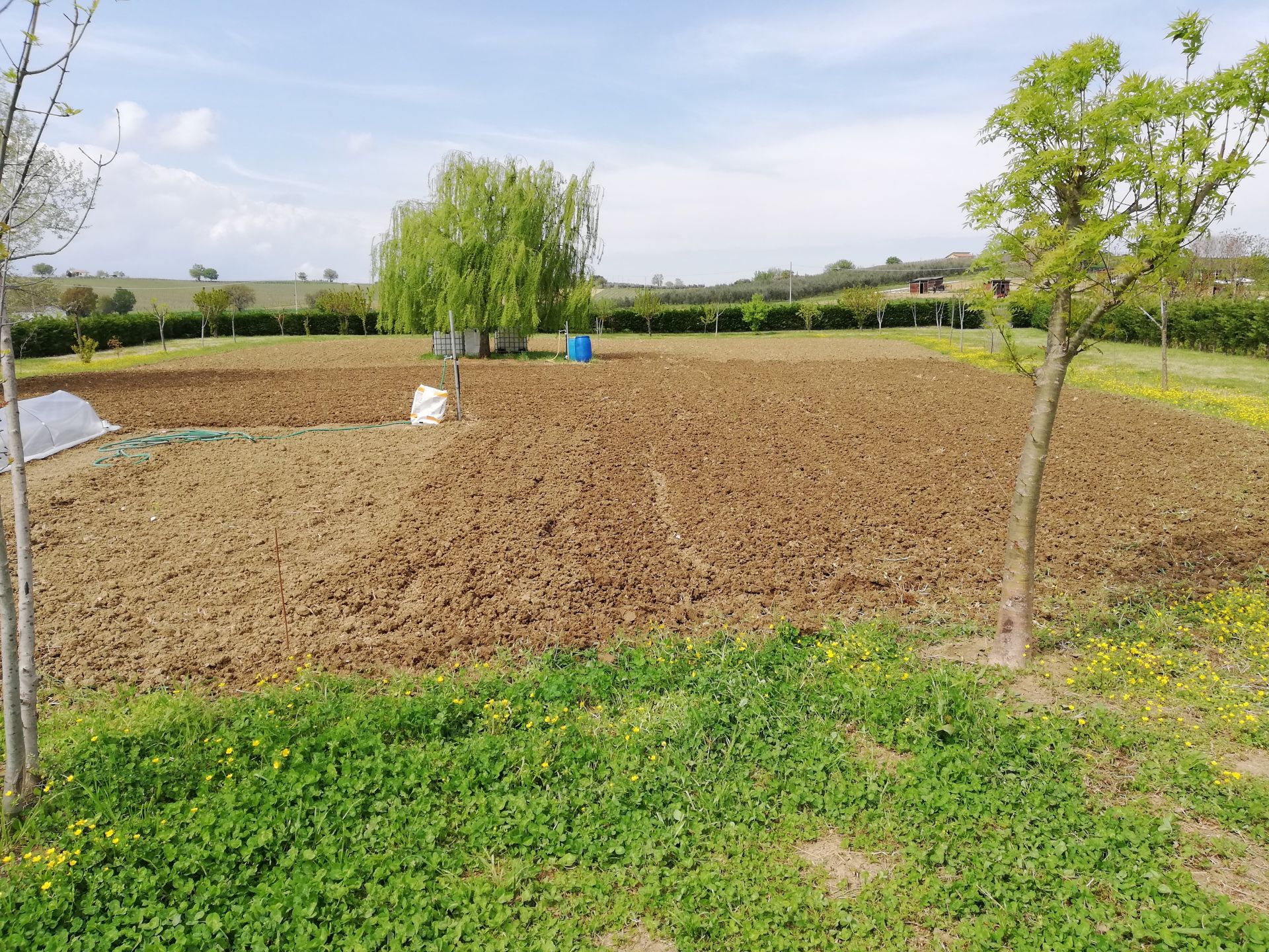 Terreno Agricolo Santarcangelo di Romagna 