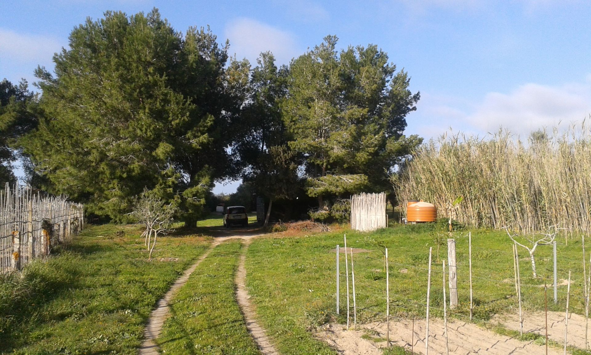 Terreno Agricolo Calasetta 