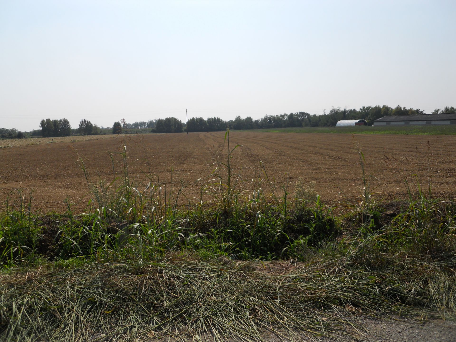Terreno Agricolo Palosco 