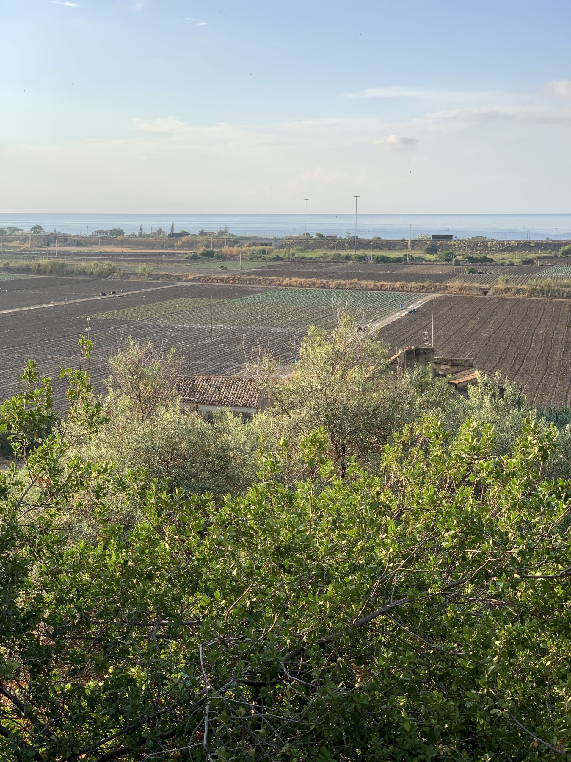 Vendita Terreno Agricolo Termini Imerese