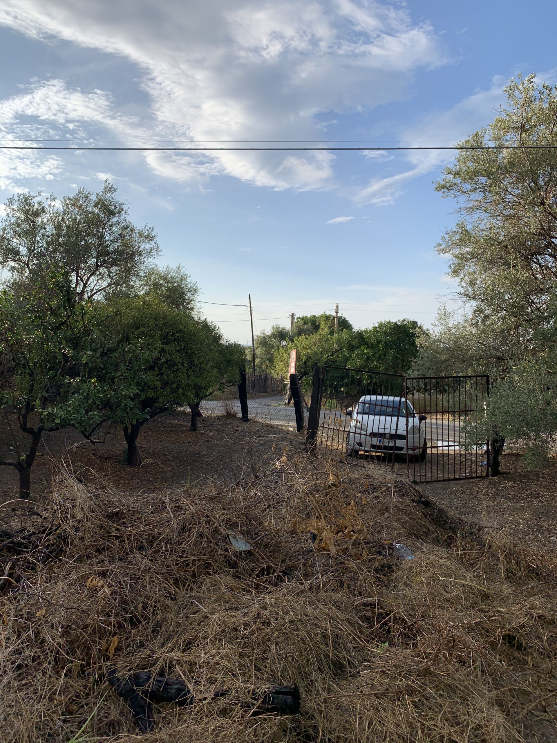 Vendita Terreno Agricolo Termini Imerese