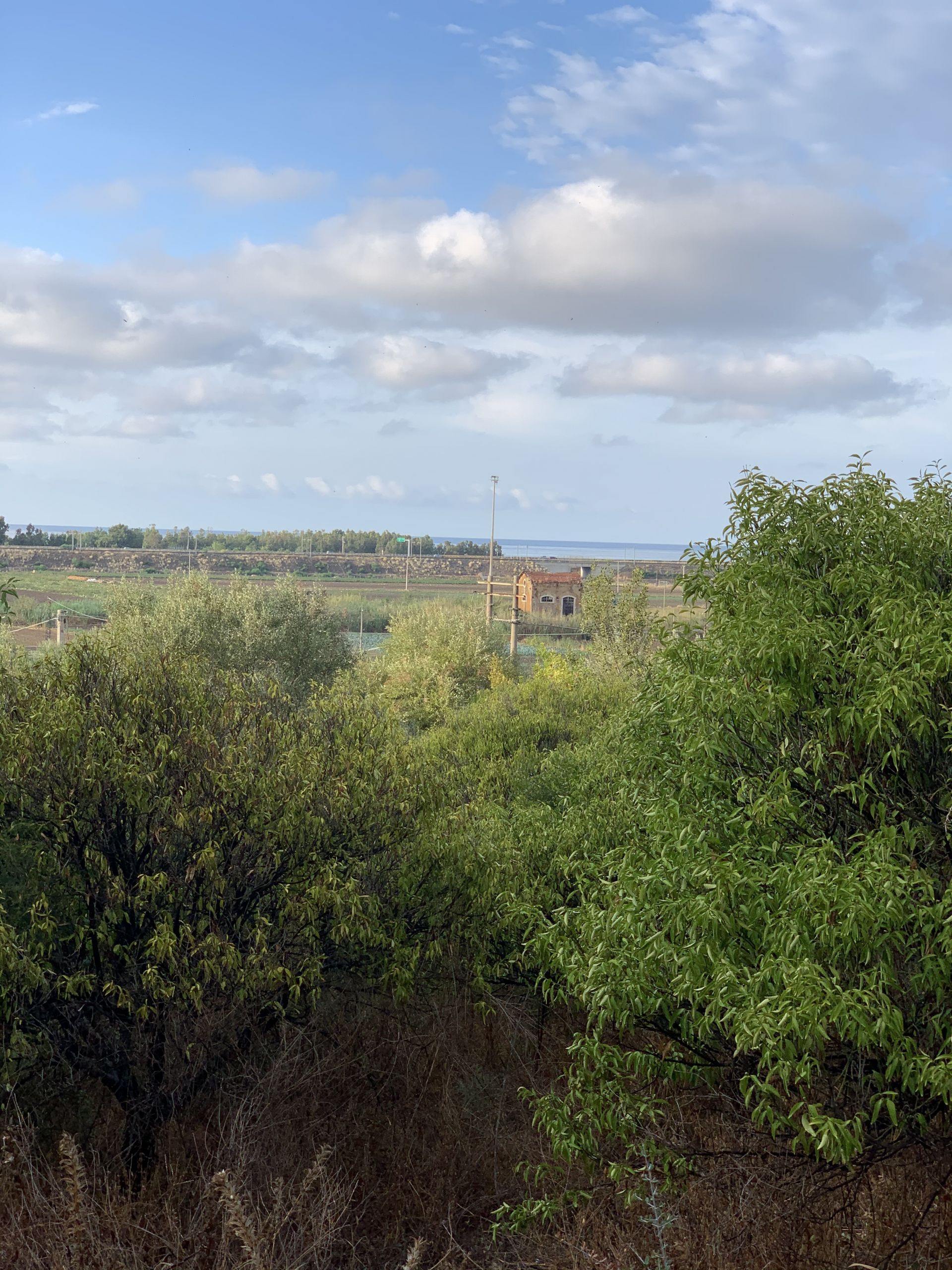 Vendita Terreno Agricolo Termini Imerese