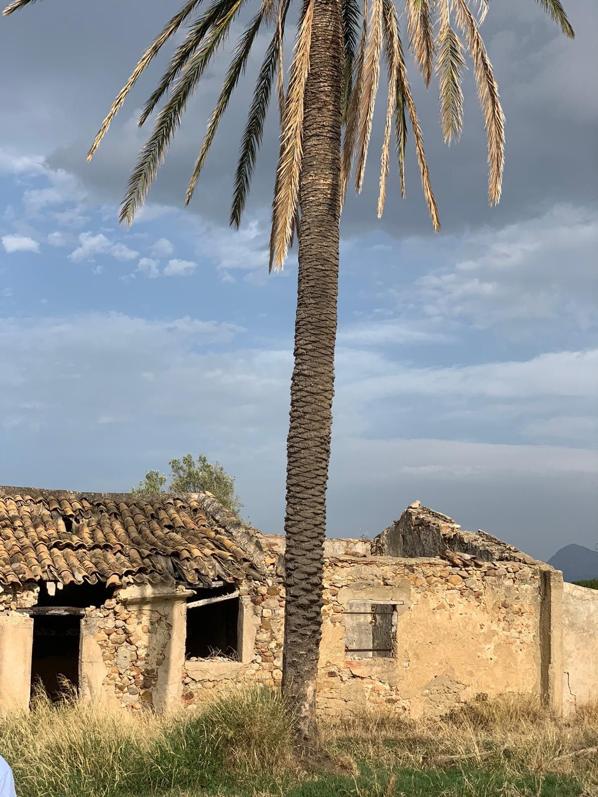 Terreno Agricolo Termini Imerese 