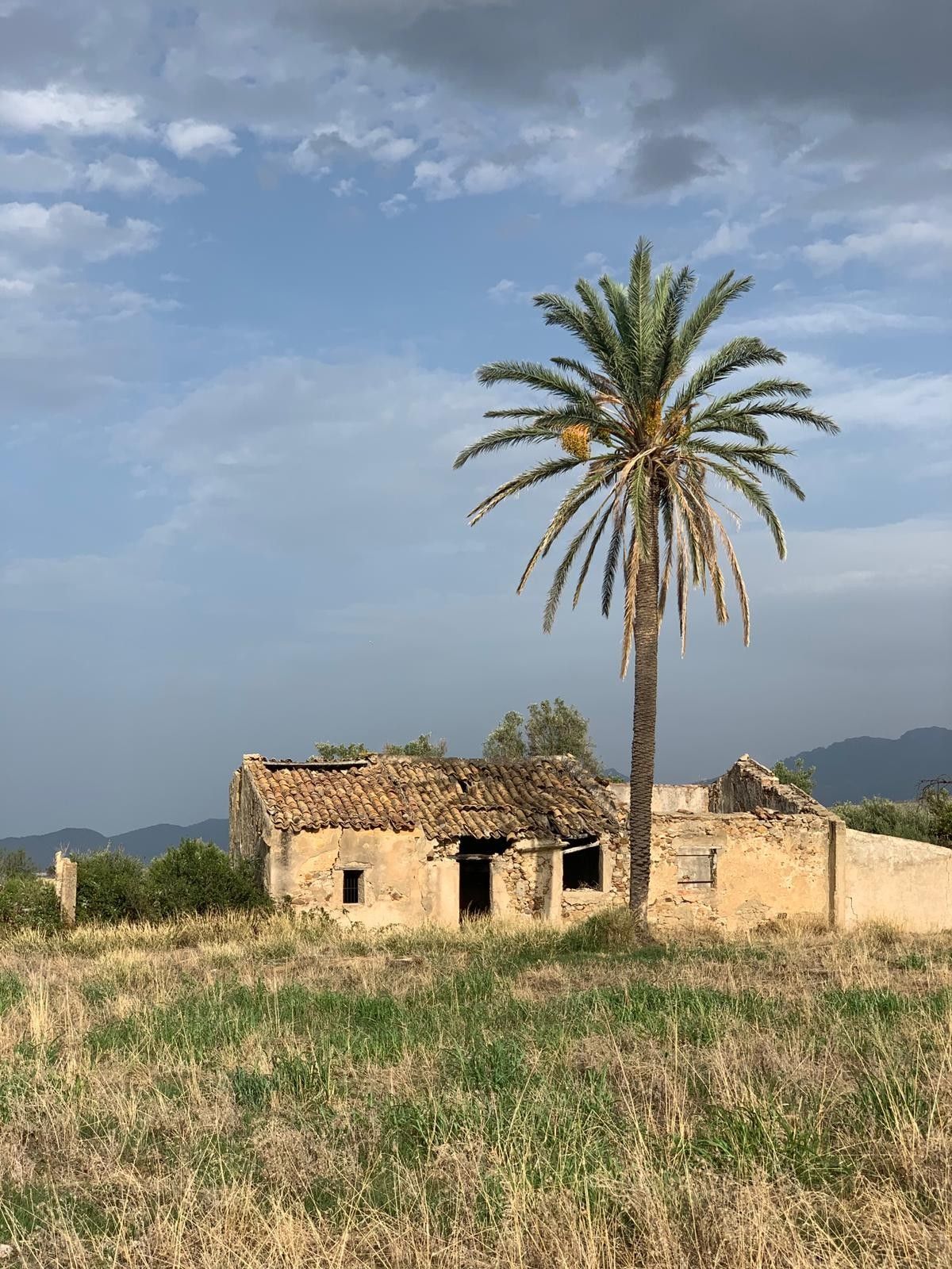 Vendita Terreno Agricolo Termini Imerese