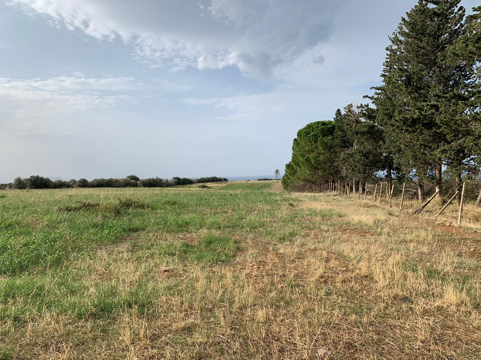 Vendita Terreno Agricolo Termini Imerese