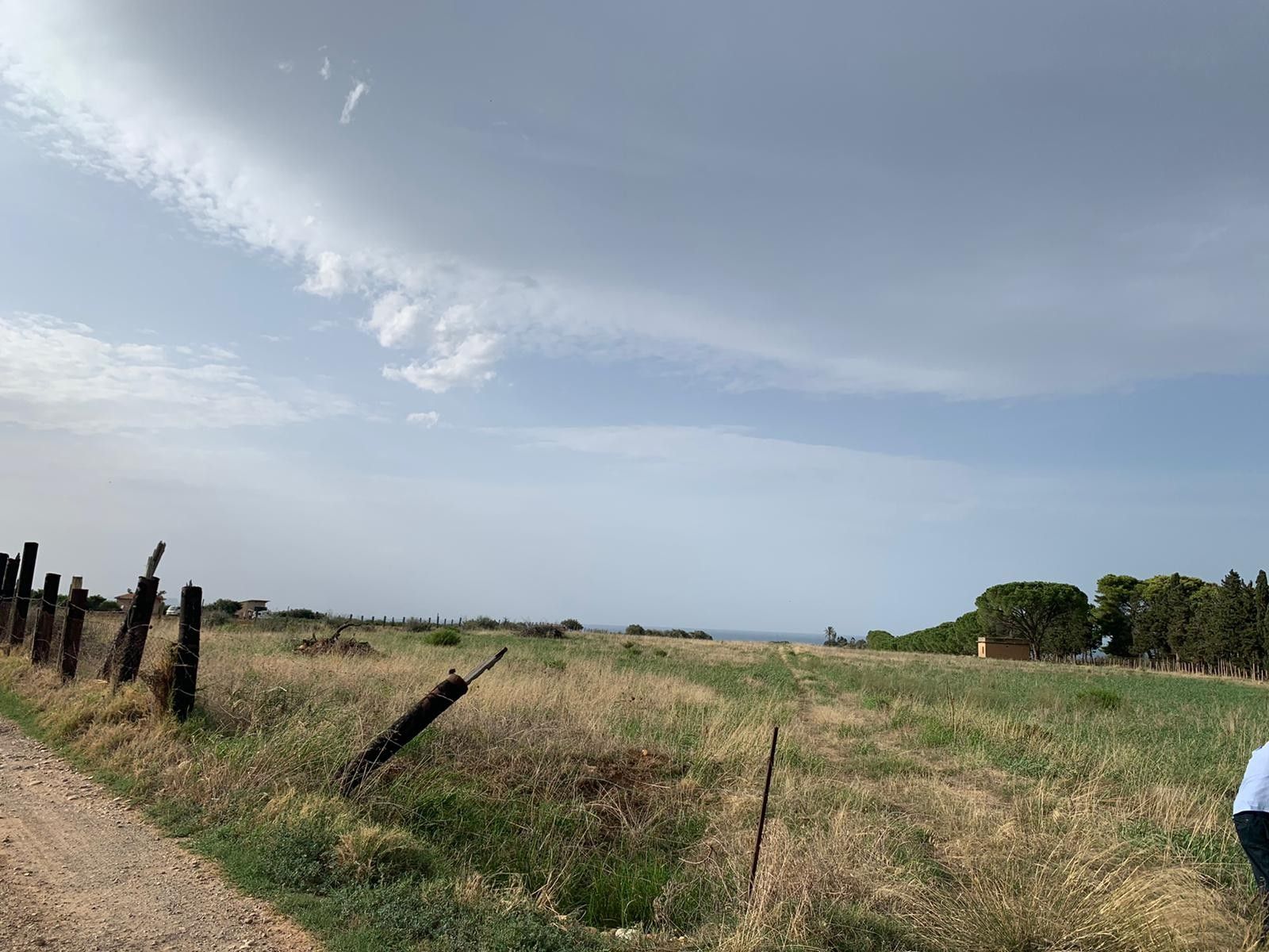 Vendita Terreno Agricolo Termini Imerese