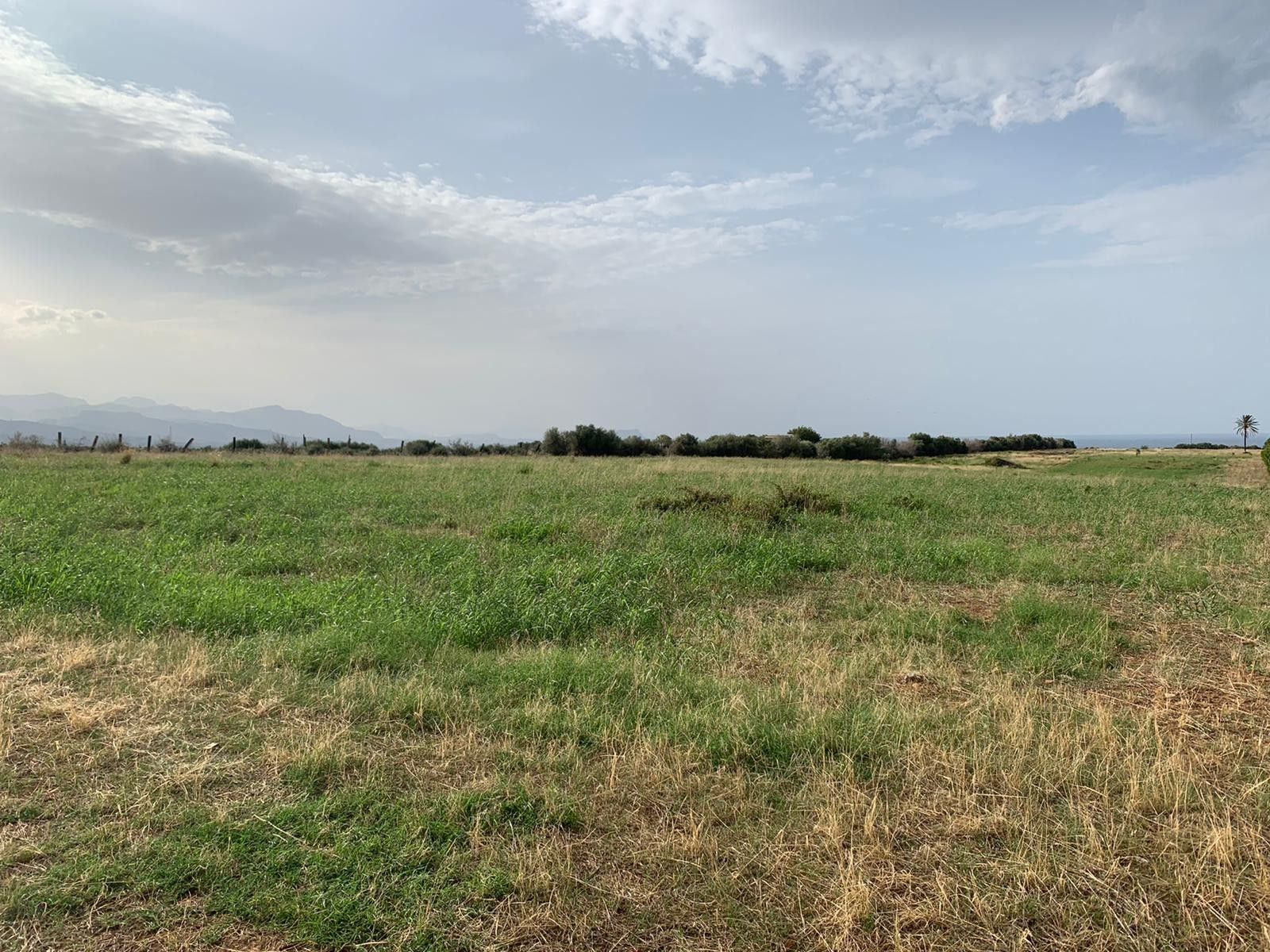 Vendita Terreno Agricolo Termini Imerese