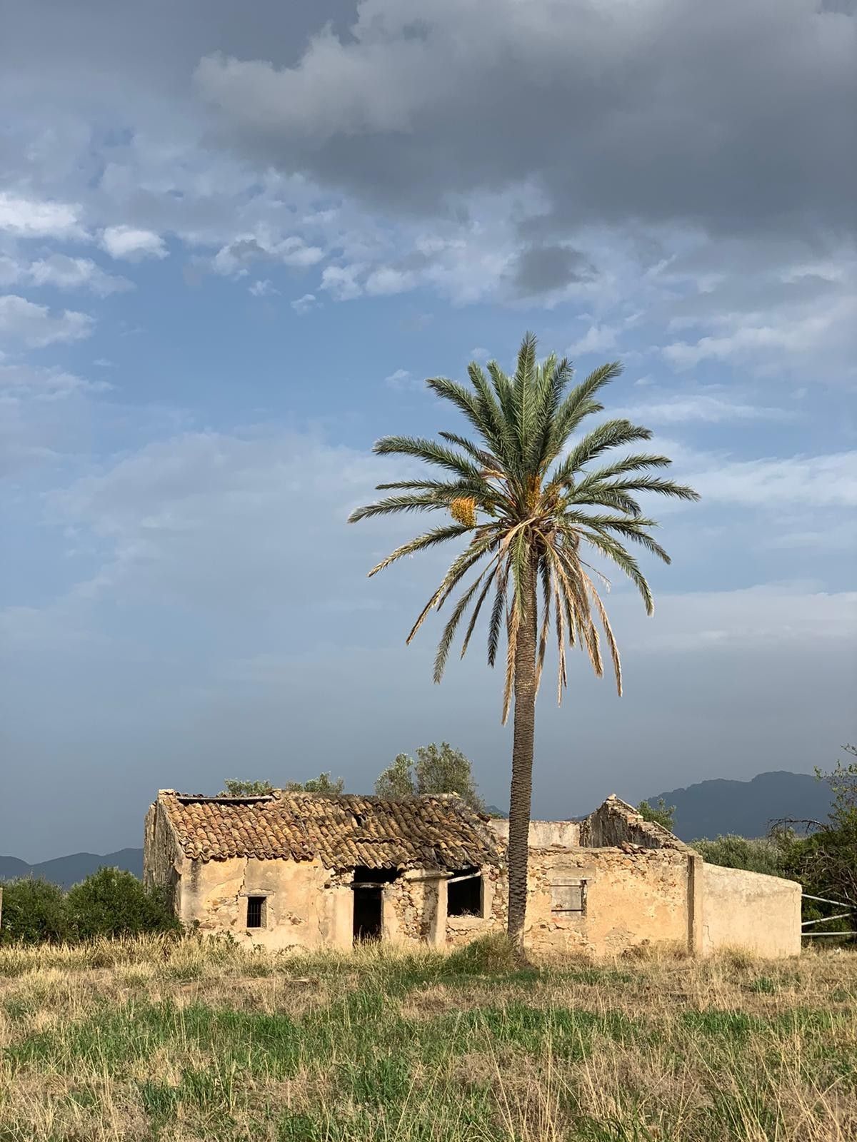 Vendita Terreno Agricolo Termini Imerese