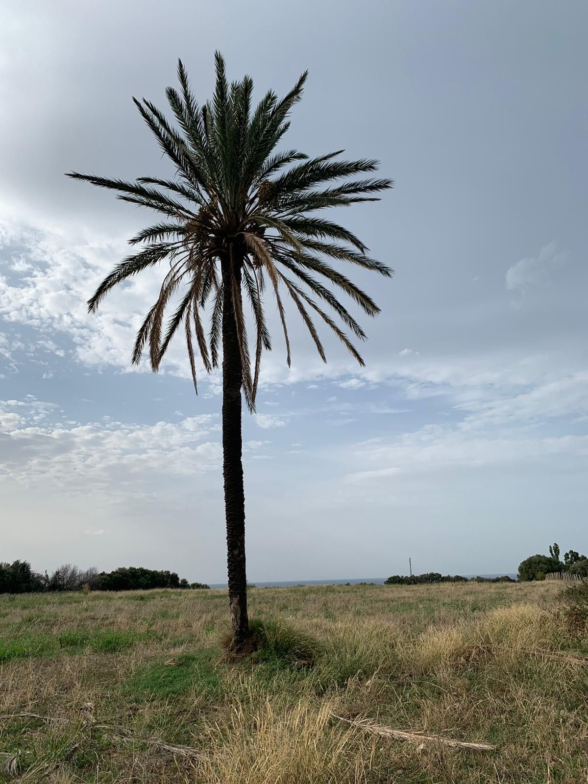 Vendita Terreno Agricolo Termini Imerese