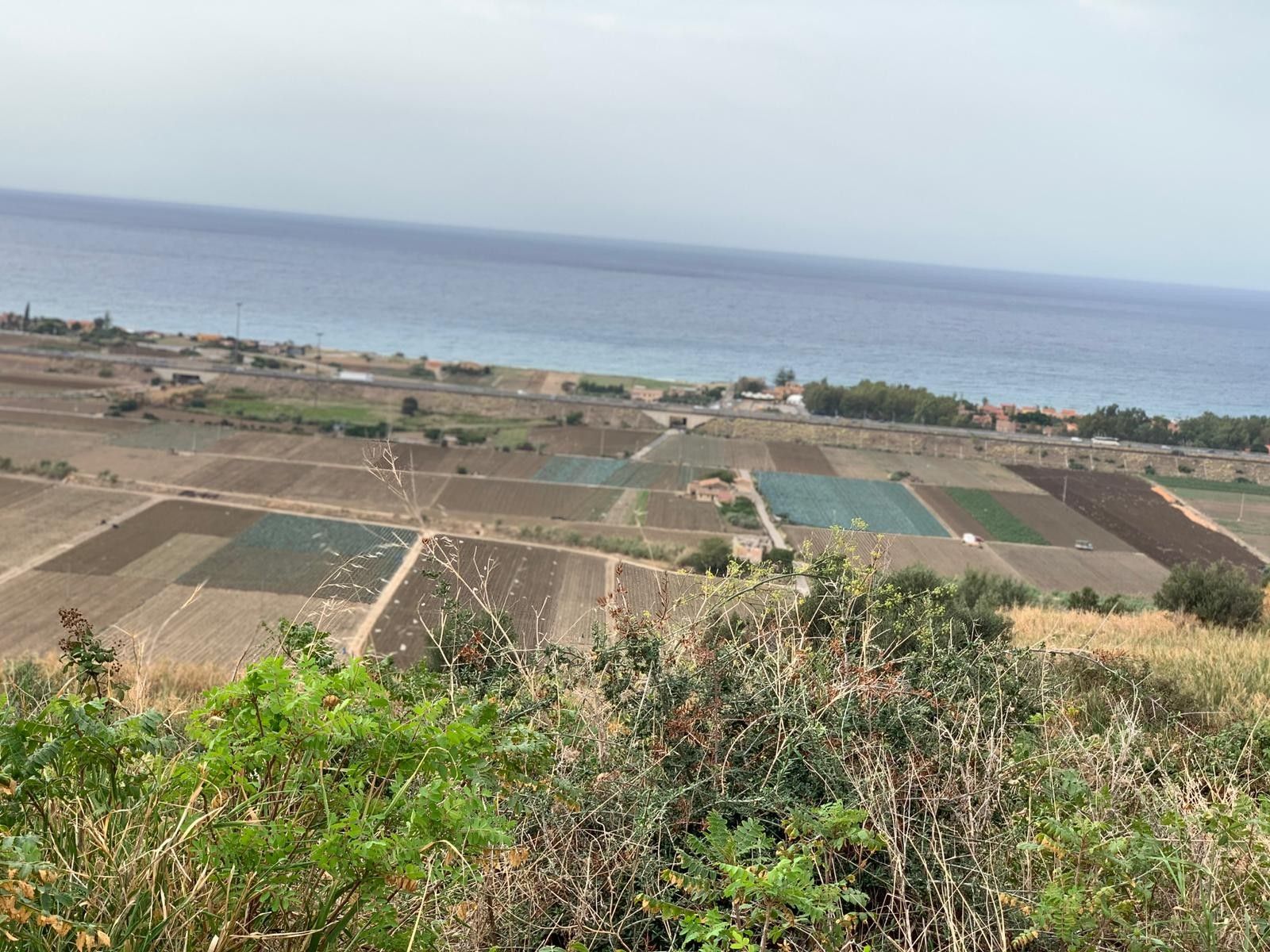 Vendita Terreno Agricolo Termini Imerese