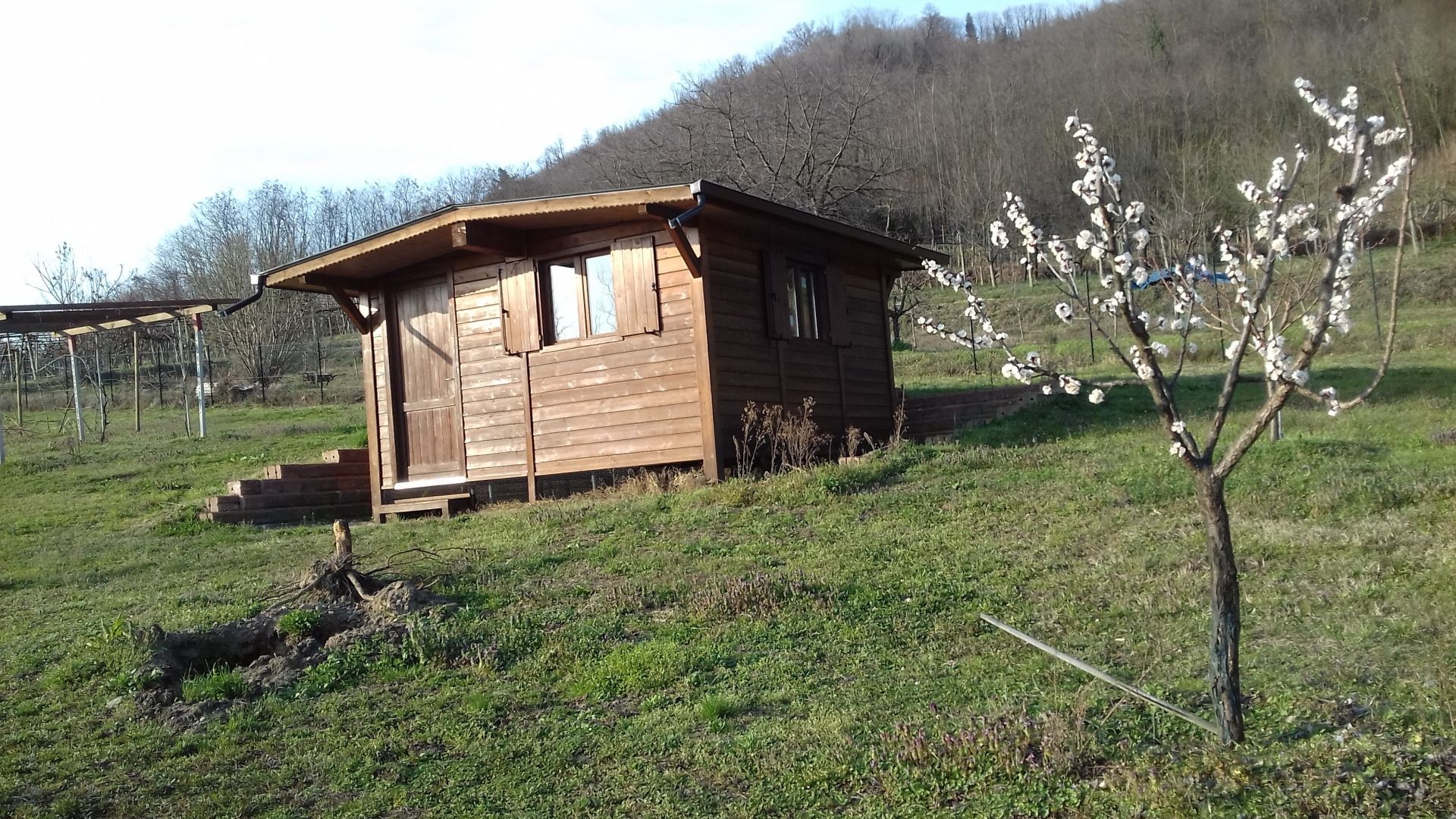 Terreno Agricolo Vestignè 