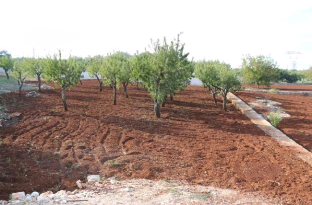 Vendita Terreno edificabile Ostuni