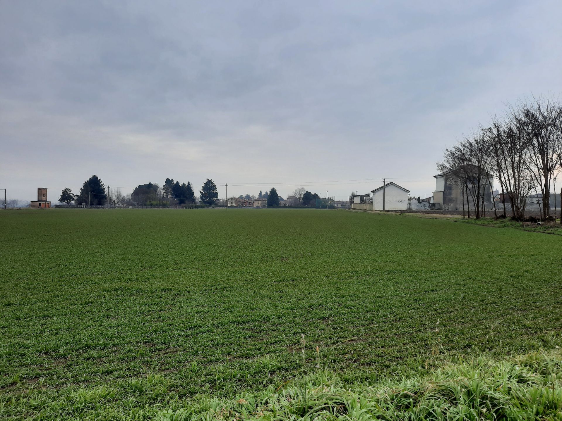 Terreno Agricolo Buriasco 