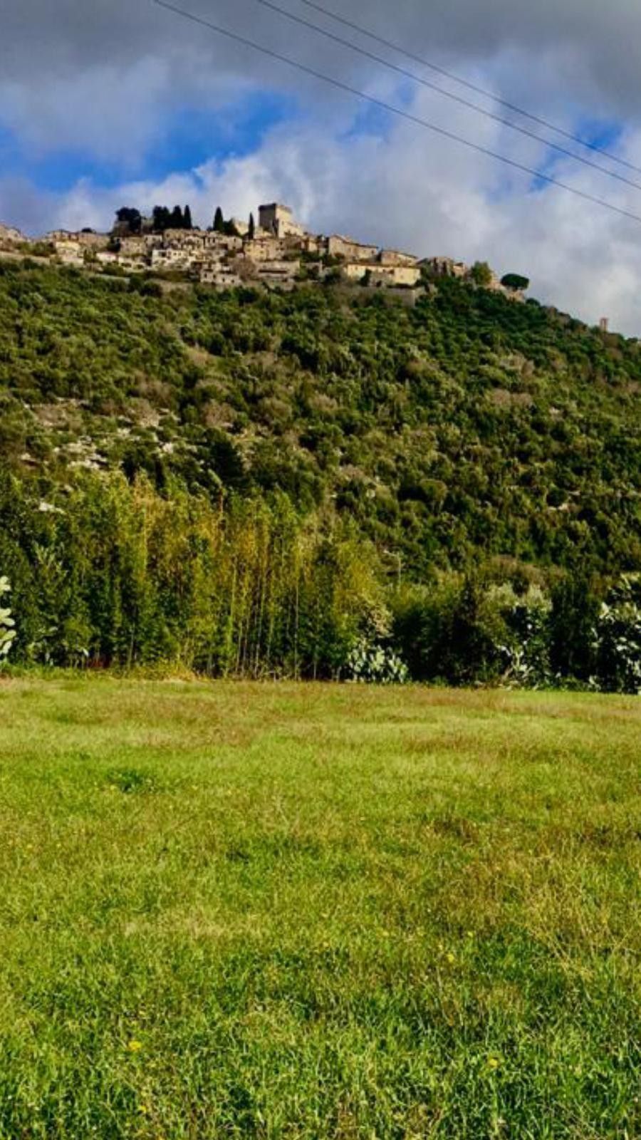 Vendita Terreno Agricolo Sermoneta