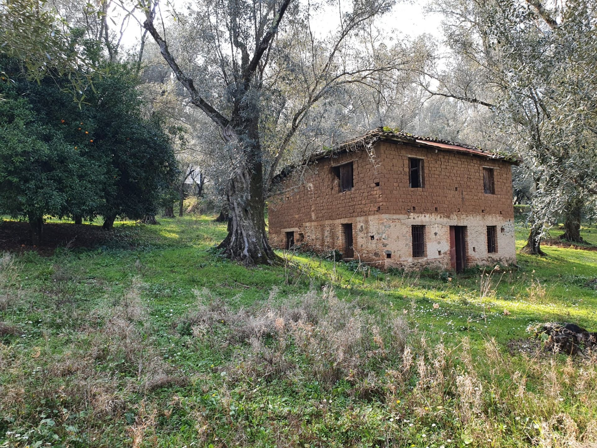 Terreno Agricolo Melicuccà 