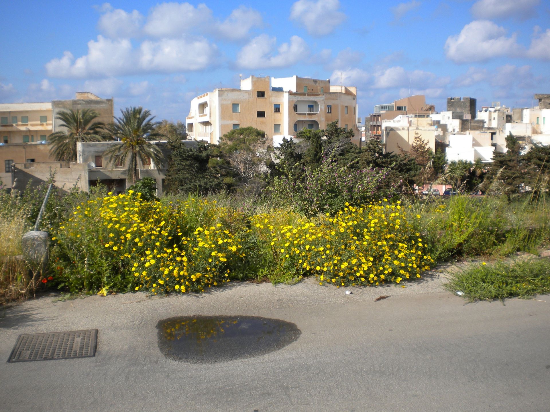 Terreno edificabile in Vendita Pantelleria