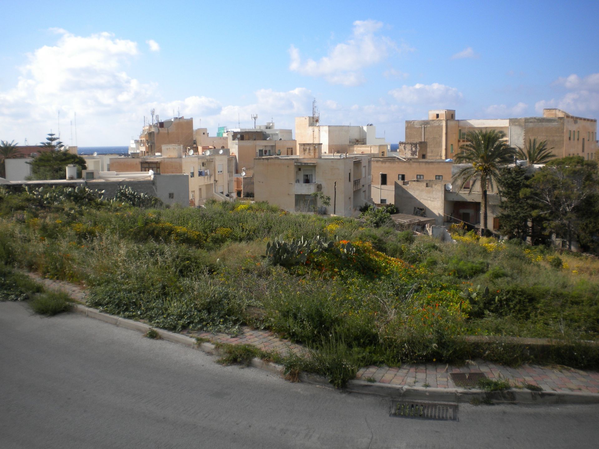 Altro Pantelleria 