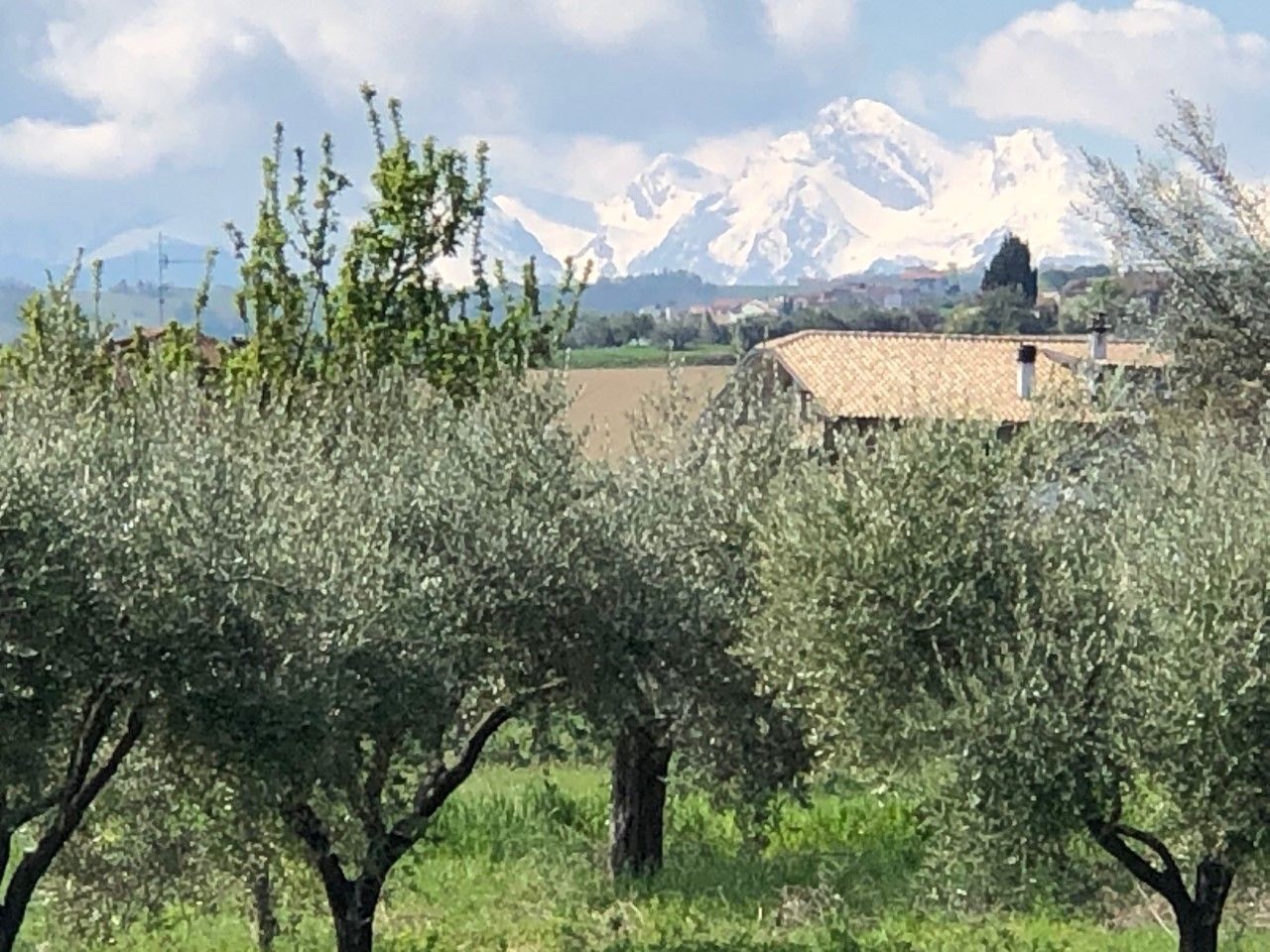 Altro Sant'Egidio alla Vibrata 