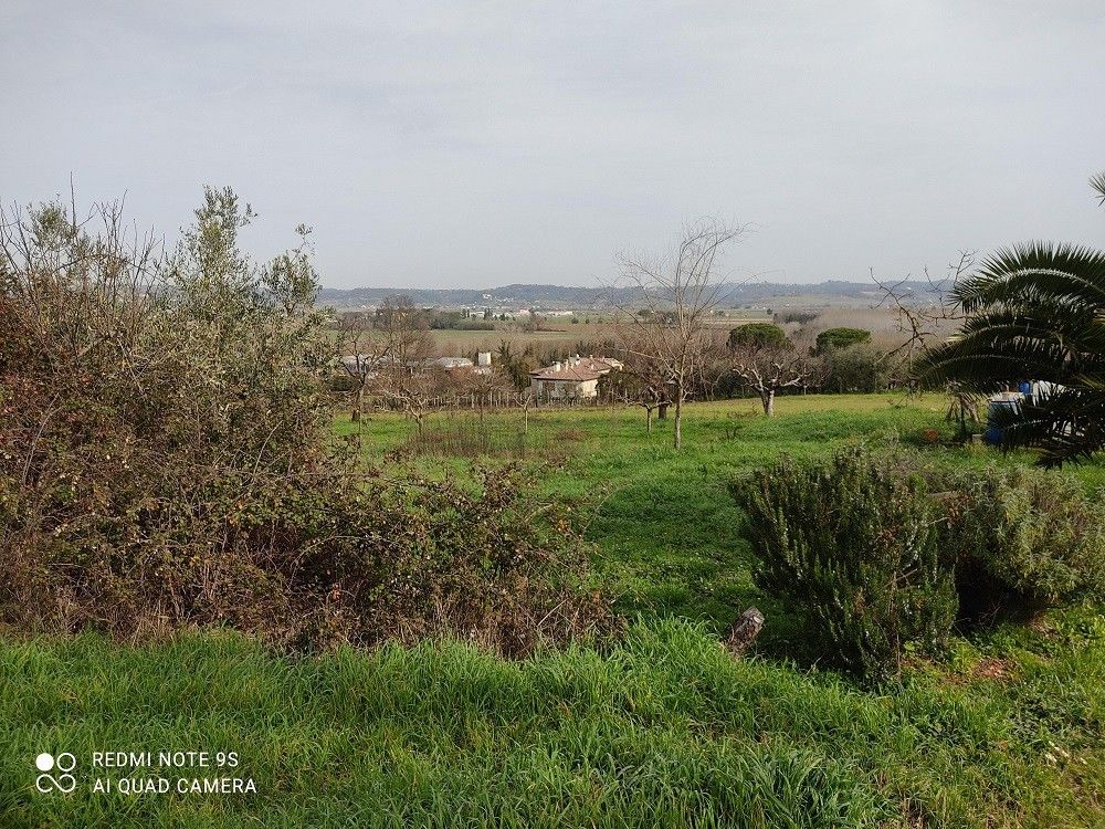 Vendita Terreno edificabile Terricciola