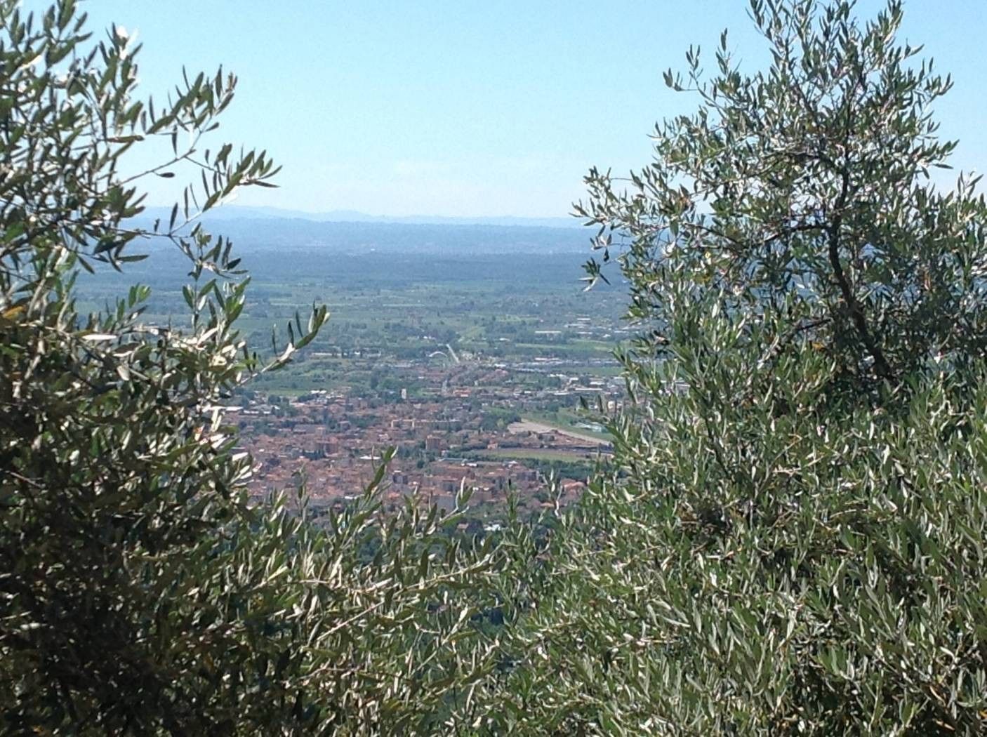 Terreno Agricolo Montecatini Terme 