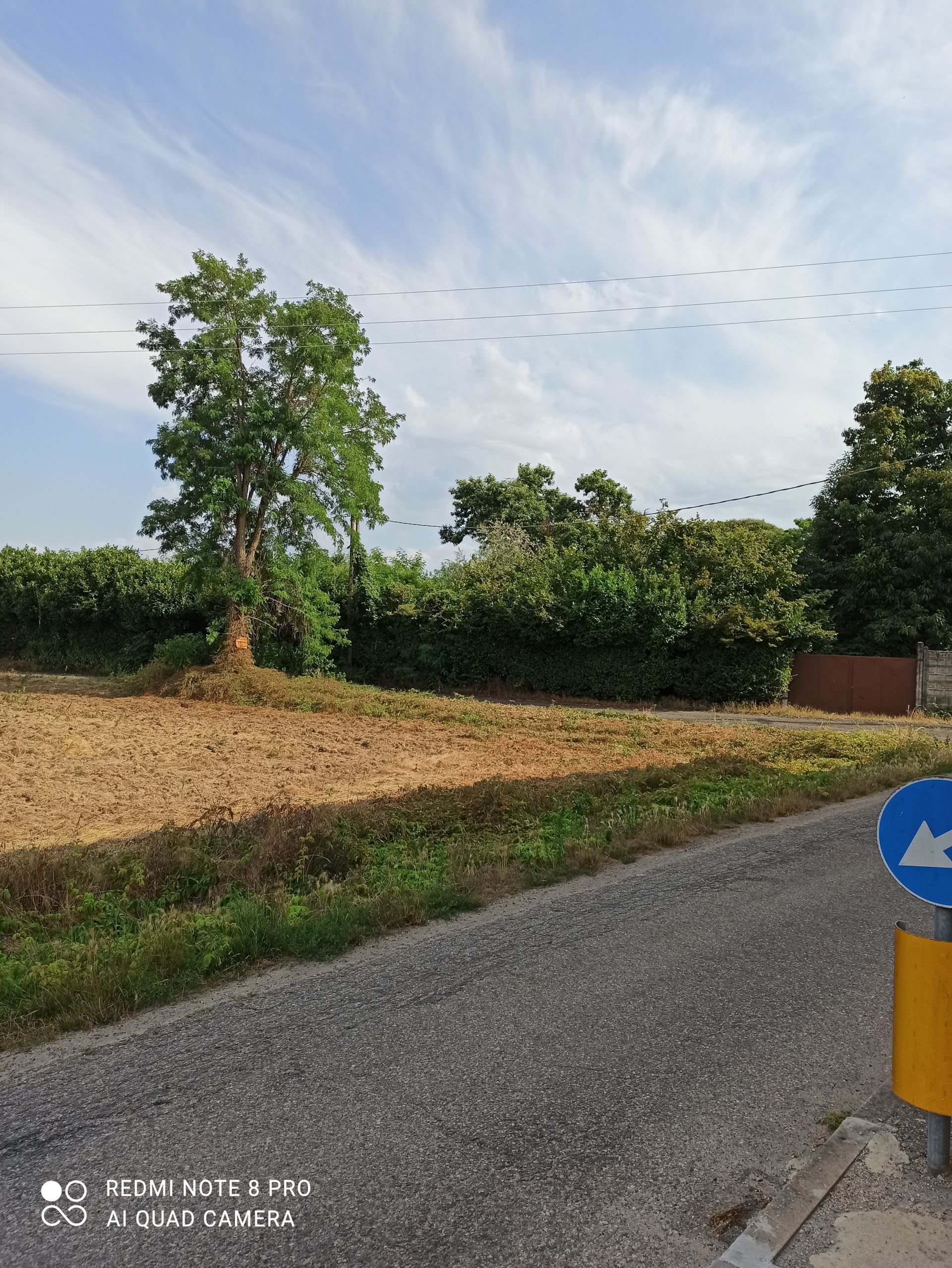 Terreno Agricolo Vigevano 