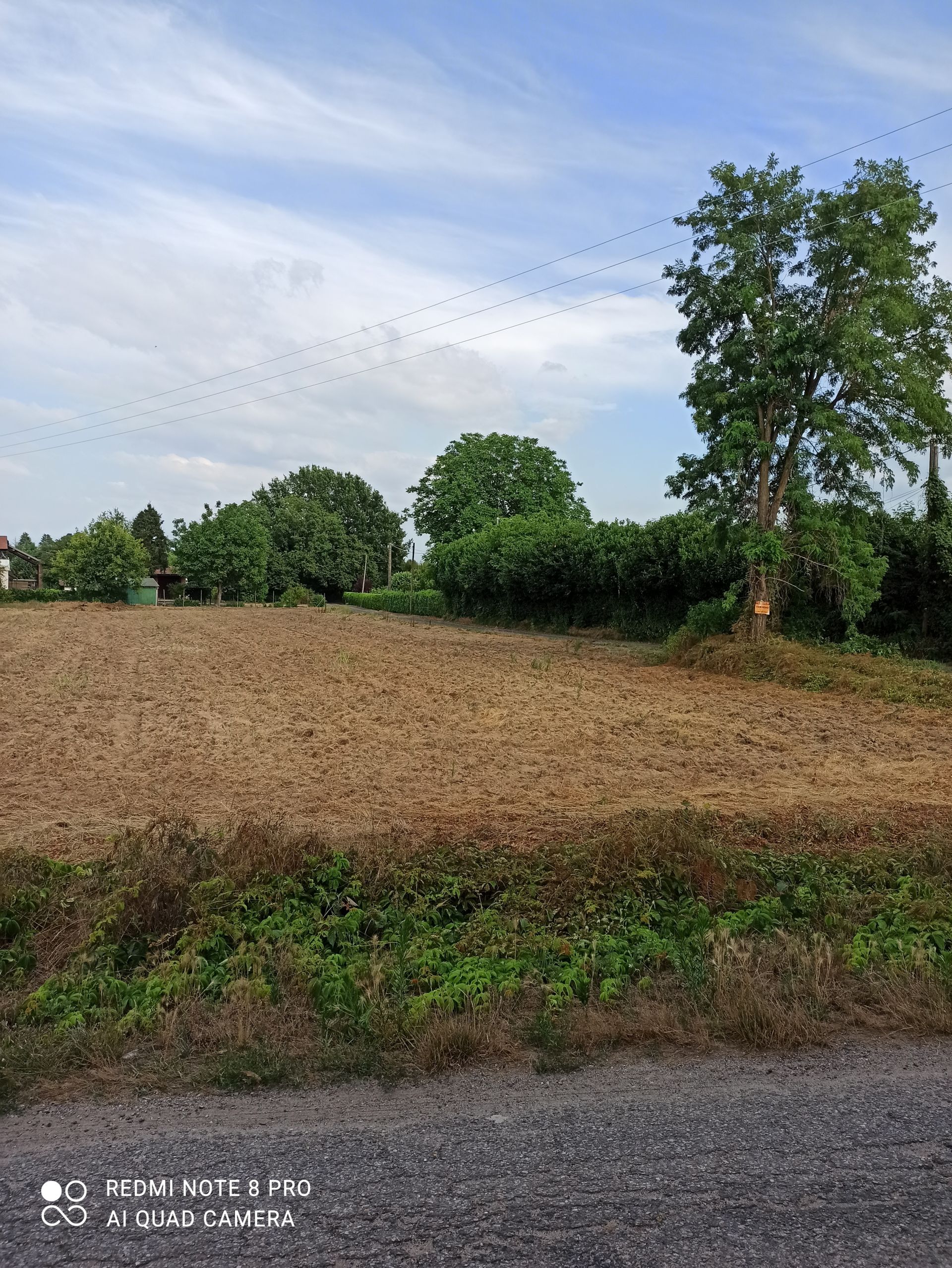 Terreno Agricolo in Vendita Vigevano