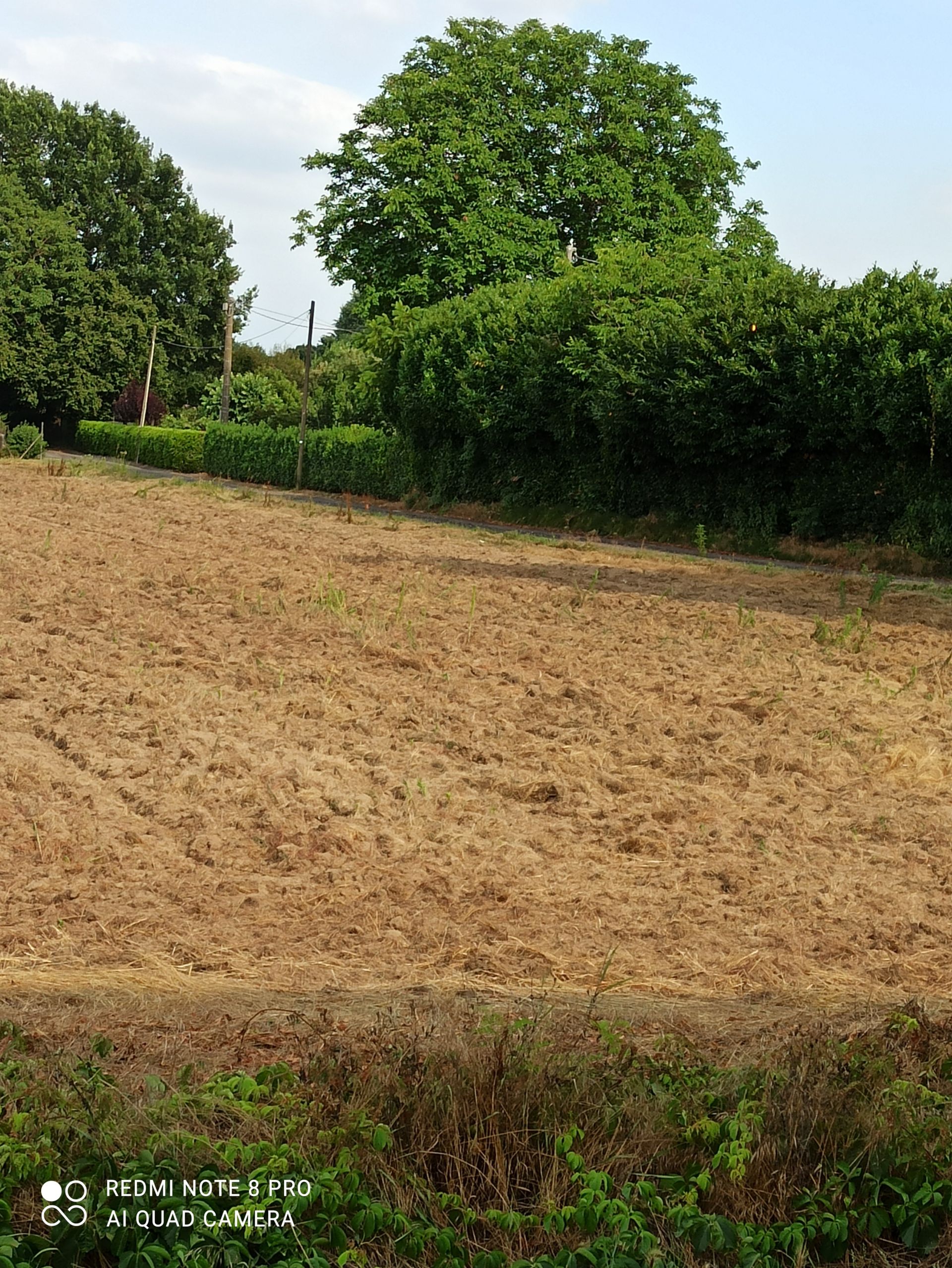 Terreno Agricolo Vigevano 