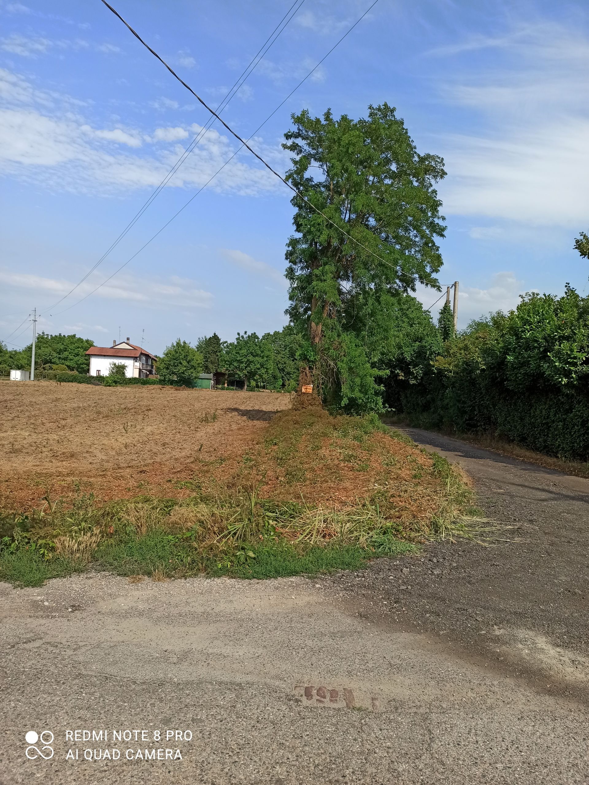 Terreno Agricolo Vigevano 