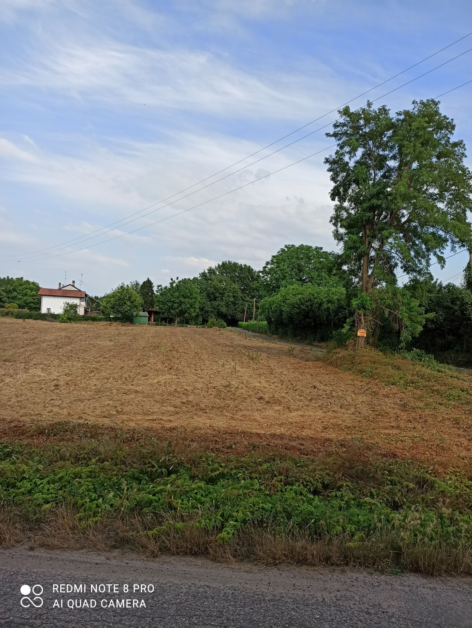 Terreno Agricolo Vigevano 