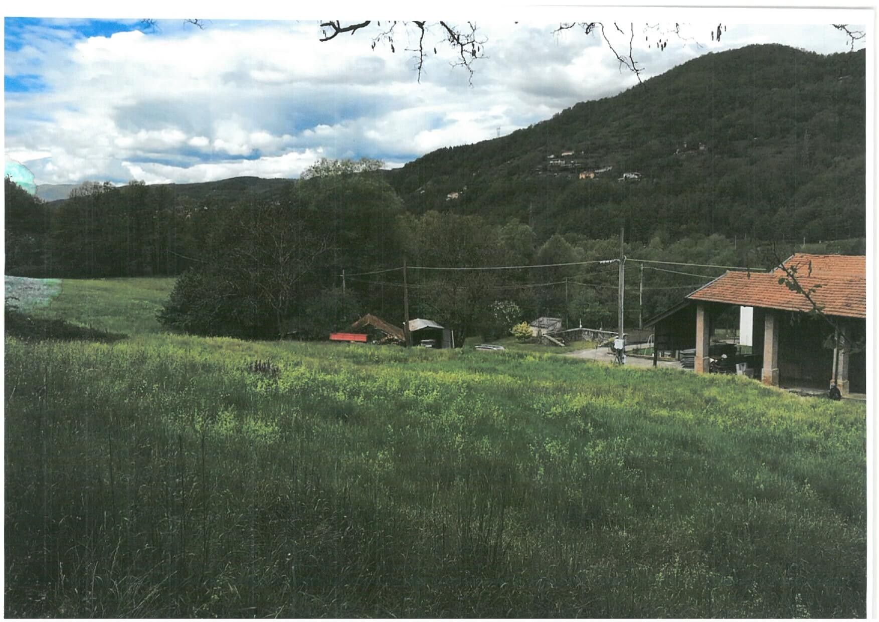 Vendita Terreno Agricolo Borgo Val di Taro