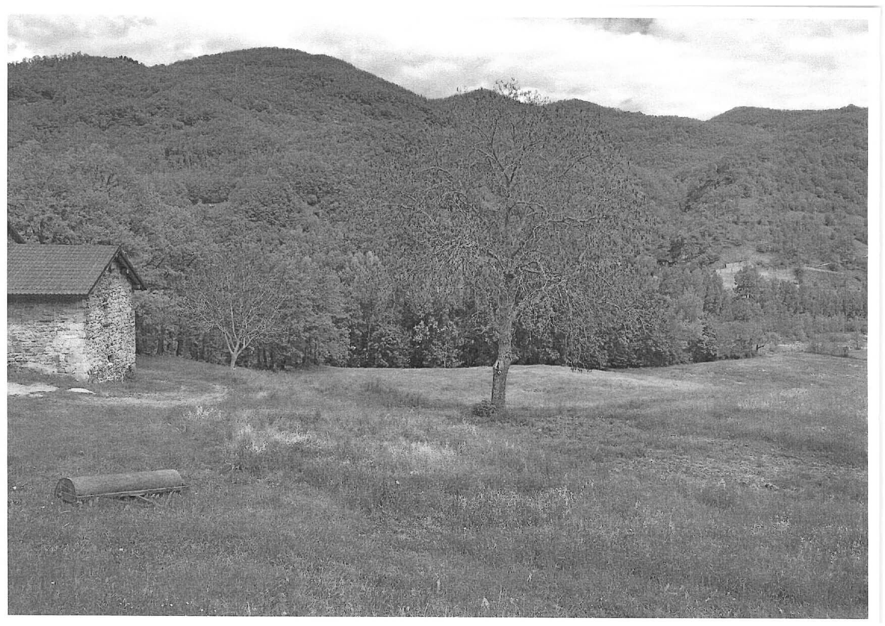 Vendita Terreno Agricolo Borgo Val di Taro