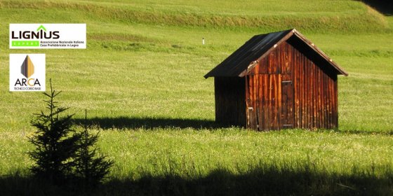 Consulenza Legno - Progettista