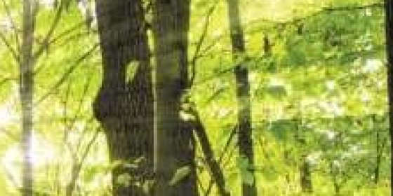 Eco Innovest Srl - Installatore