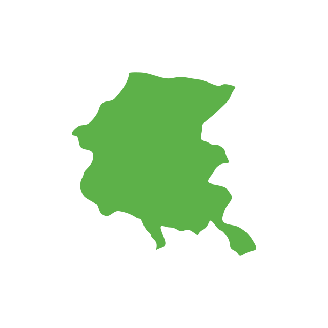 Regione friuli