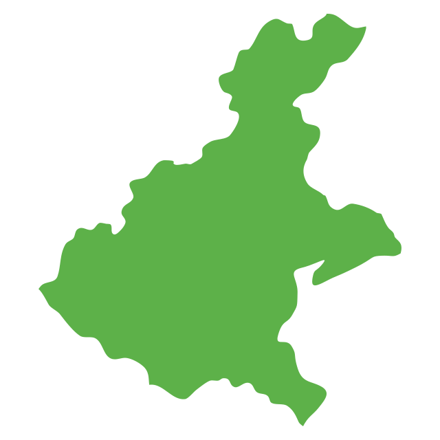 Regione veneto