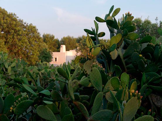 CASA GM realizzato da 0-co2 Arch. Bartolomeo Conterio, Assistenza tecnica a Lecce