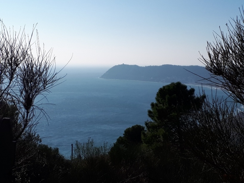 Alassio