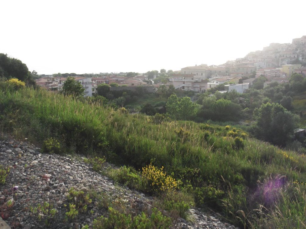 Vendita Terreno Agricolo Scalea