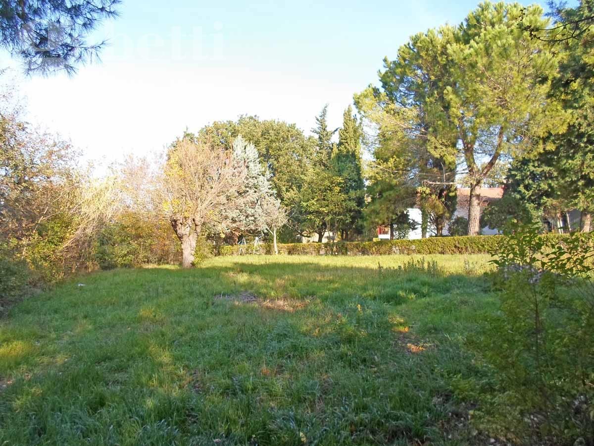 Villa o villino Senigallia SV03376VRG
