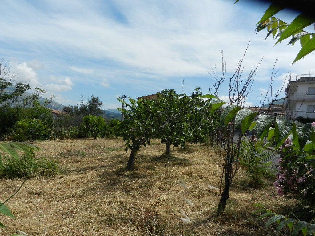 Vendita Terreno Residenziale Santa Maria del Cedro