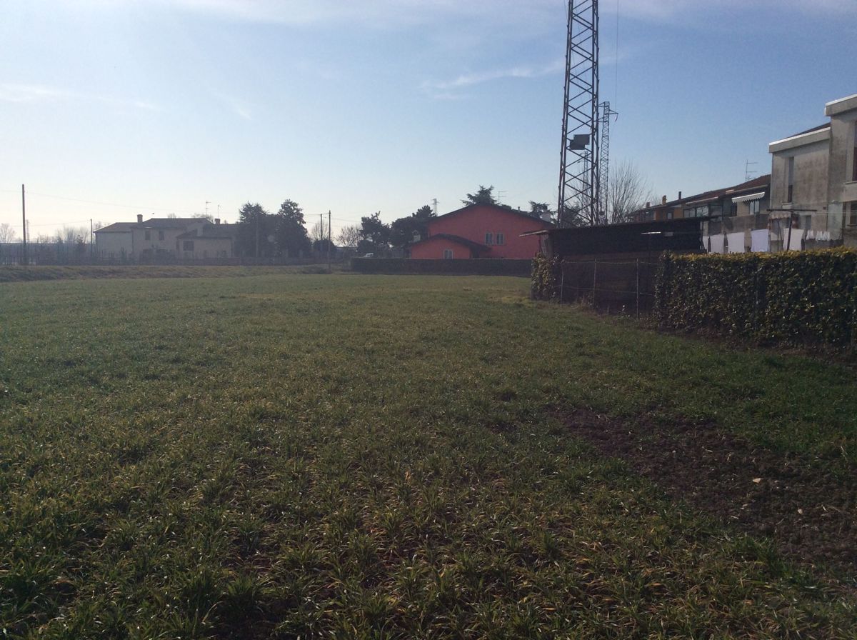 Cavarzere